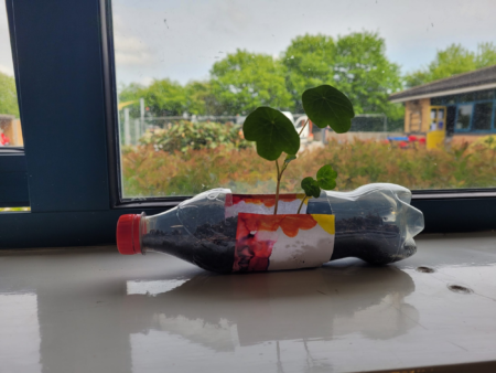 Badgers calvin scaled