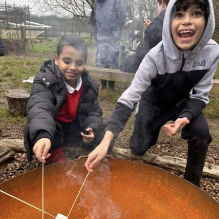 Forest e1710424014742