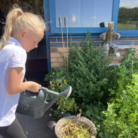 Gardening e1710424319952